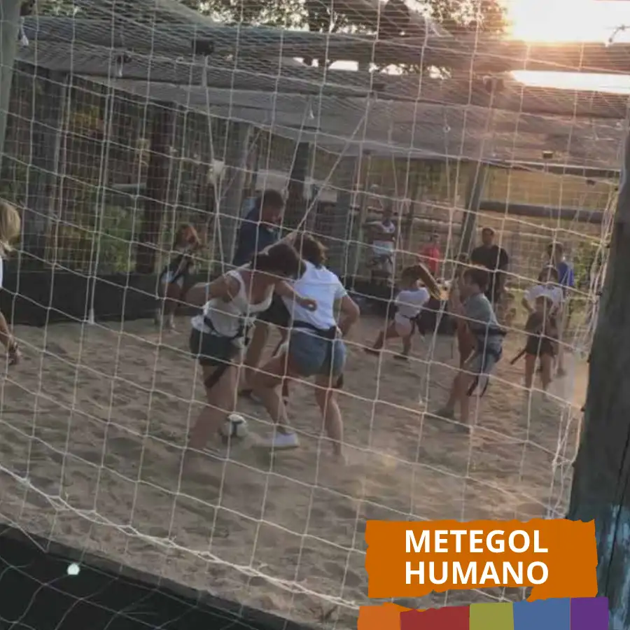 METEGOL-HUMA